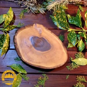 IMG-20240210-WA0550 Daska panj